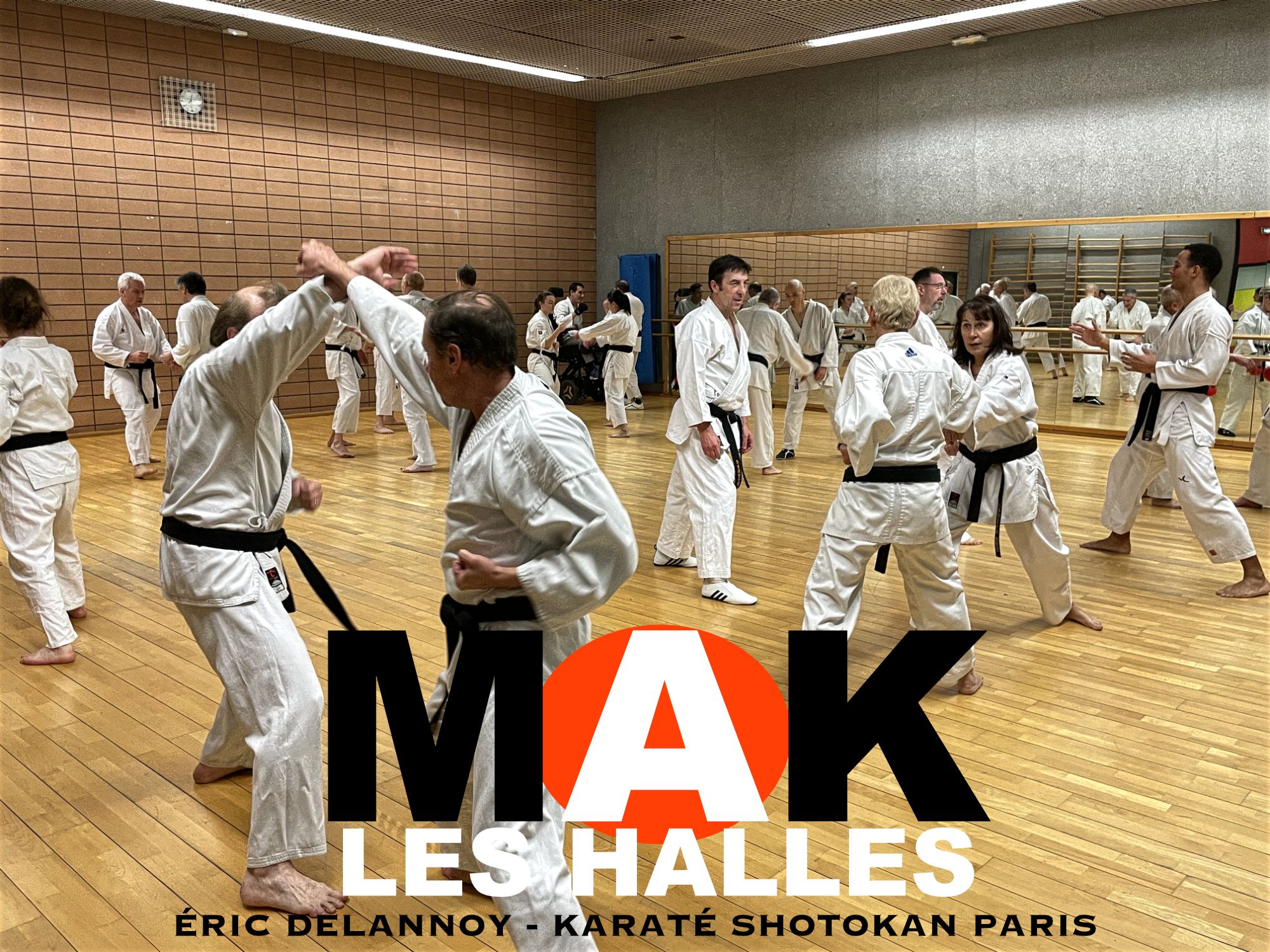 Ceinture clearance karaté shotokan